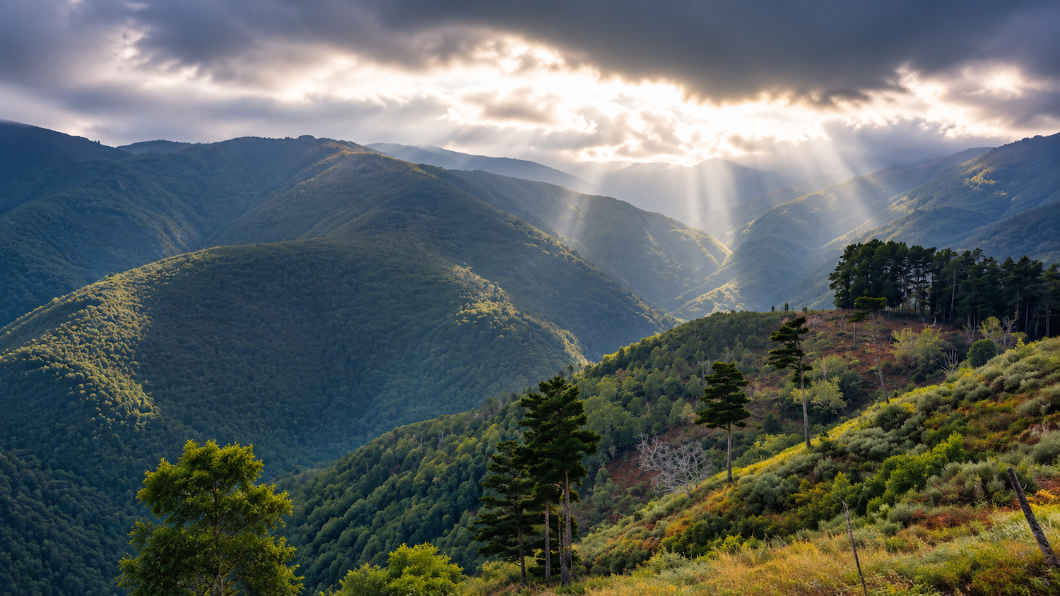 Paesaggio delle Serre Calabresi